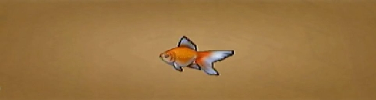 WS000005.JPG